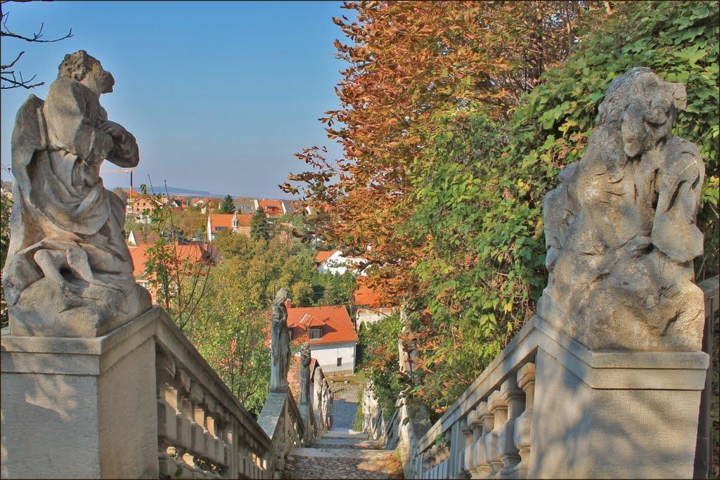 Karmelita Boutique Apartman Sopron Exterior foto